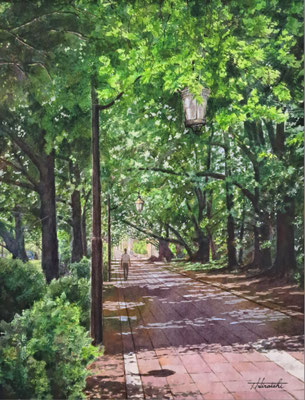 C57　平石 達也　真夏の大学通り　水彩　F6