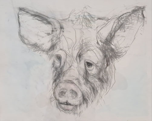 C44　関澤 豊子　デッサン　鉛筆画　F6