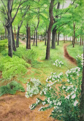 C32　塩谷 幸子　初夏の散歩道　水彩　36×51