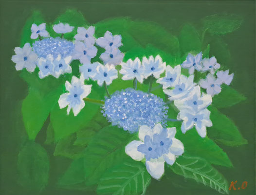 C18　岡田 喜三郎　あじさい　油彩　F6