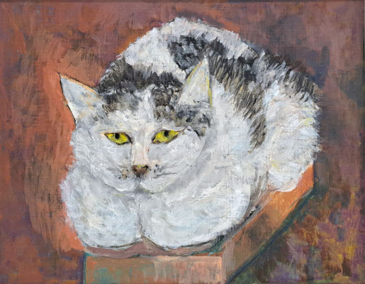 C65　水島 美登利　老猫 花ちゃん　油彩　F6