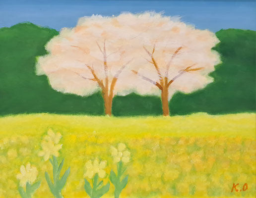 C19　岡田 喜三郎　桜の下の菜の花畑　油彩　F6