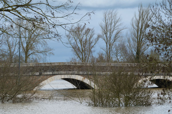 ©Stéphane MOREAU - Crue Loire 2026