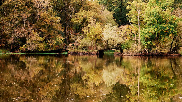 Stephane Moreau Photographe - Le Parc du Martreil - Anjou