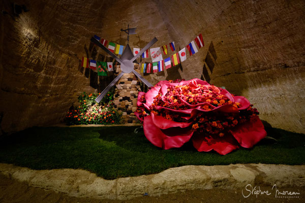 Les journées de la rose - Stephane Moreau Photographe