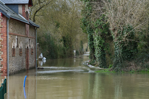 ©Stéphane MOREAU - Crue Loire 2026