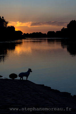 Stéphane Moreau - Sony Nex 7 - Canon FD 28mm, 50mm, 135mm et 80/200mm