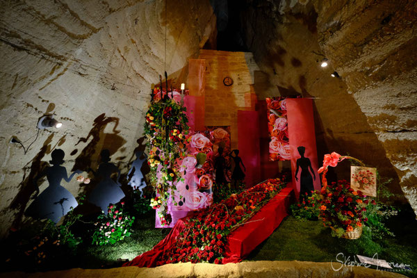 Les journées de la rose - Stephane Moreau Photographe