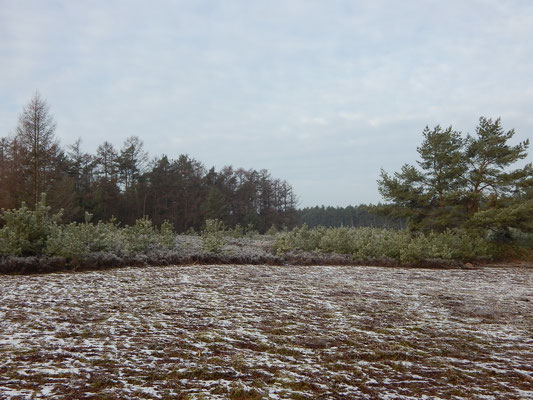 Region 1 vorher