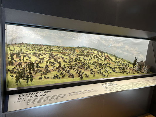 Le très beau diorama donnant une idée...