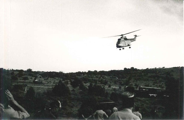 Posé dans la garrigue.