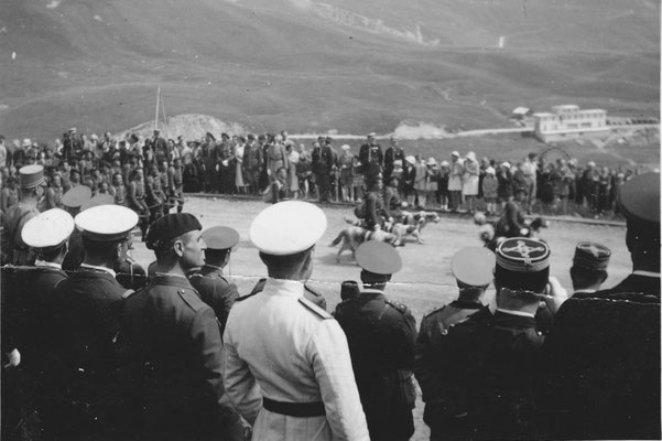 Vue de dos, les attachés militaires étrangers admirent le défilé des alpins (dont le 99e R.I.A.) précédés des Saint-Bernard (nombreux Allemands et italiens...) .