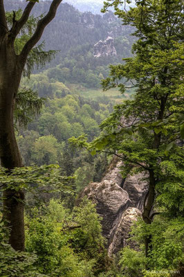 Sächsische Schweiz 2014