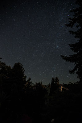 Sommersternhimmel mit Andromedagalaxie 01