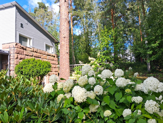 Hämeenlinna, Iittala