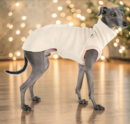 Fleece Shirt Iggy in Sand