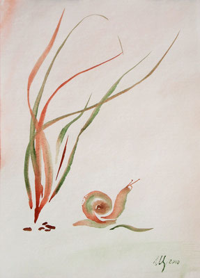 Snail. Watercolor. A4. 07-2010.