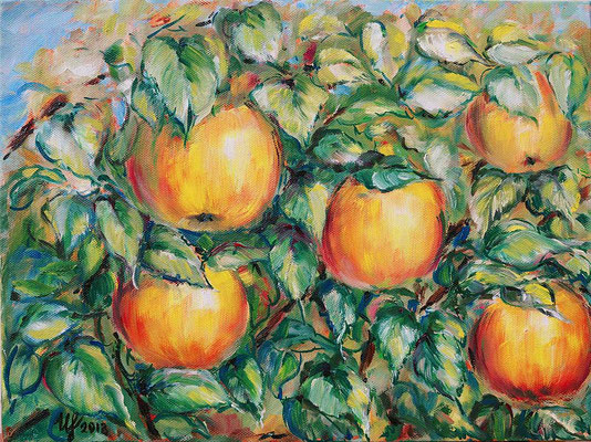 Apples on a branch 2. oil on canvas, 30x40 cm, 11-2013