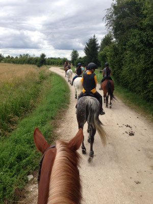 Balade à cheval