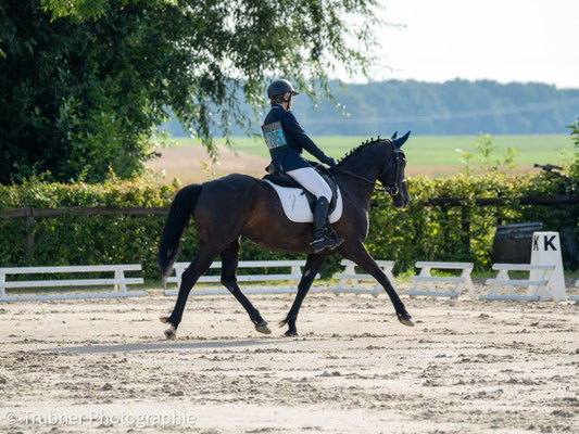 Carrière de dressage