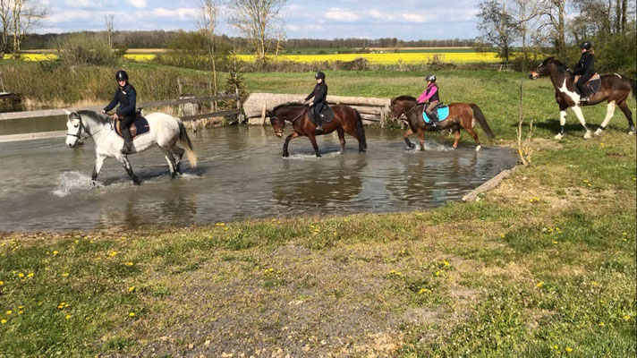 Equitation d'extérieur, de loisir ou équitation sportive