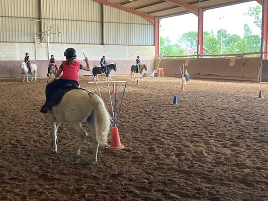 Manège lumineux pour les cours poney