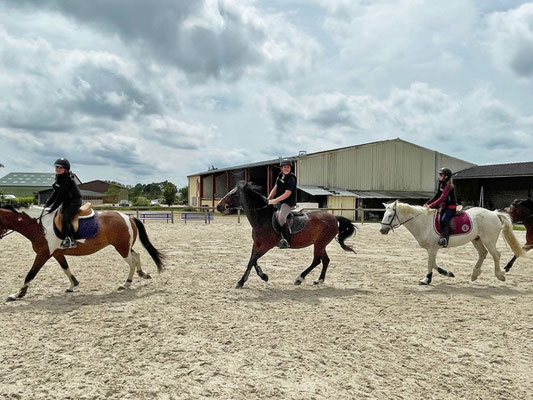 Stage de perfectionnement pour passer ses Galops