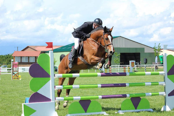 Piste de CSO en herbe