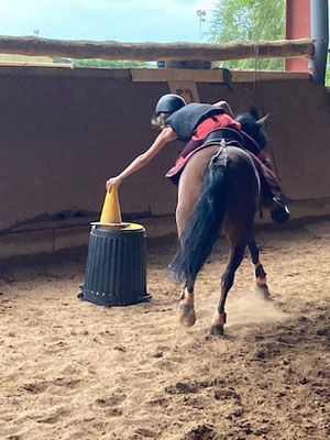 Stage pony-games