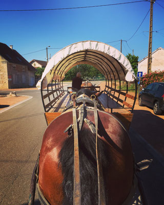 Promenade en attelage