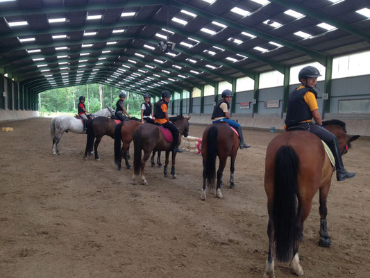 Un environnement idéal pour débuter l'équitation