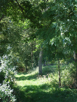 Sentier du Tacot - Randonnée à Sorbier (03220)