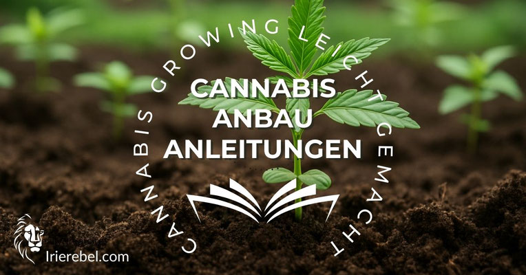 Cannabis Anbau Anleitungen