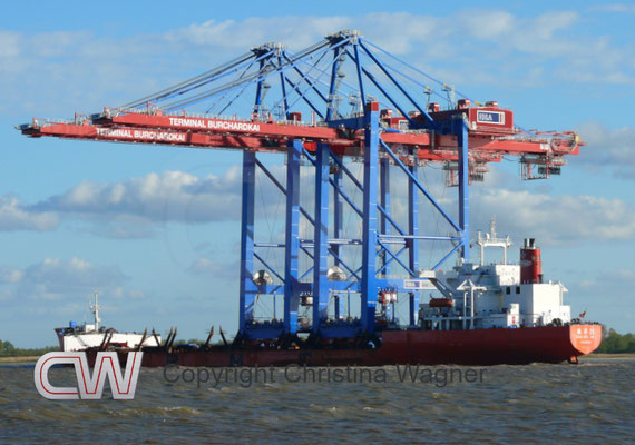 Größer Containerschiffe erfordern auch größere Containerbrücken. Die Zhen Hua 26 mit zwei neuen Brücken für den Burchard-Kai in Hamburg. 