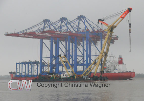 Die ZHEN HUA 27 bringt 3 der Megabrücken für den Buchardkai. Zufall war, dass sich der 600 t Schwimmkran ENAK ins Bild schob.