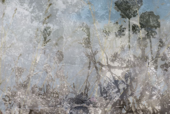 "Durch Nebel sehen", digitale Fotocollage 2017