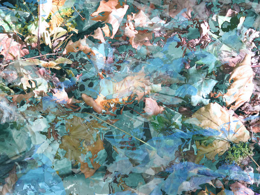 "baroque leaves - o. T.", digitale Fotocollage, 2020