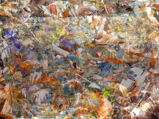 "baroque leaves - Die Geburt der Venus oder der Triumph des Neptun", (Titelwahl nach Poussin, ca 1635), digitale Fotocollage 2020