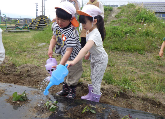 大きく育ってね！