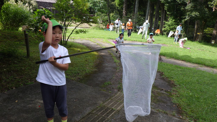 外では虫探し。もう少しでクモ捕まえられそう！ドキドキ・・・