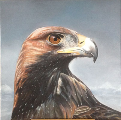 Golden Eagle, olieverf op linnen, 50 x 50 cm., 375,00 euro