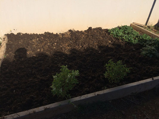 Potager Vergèze