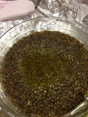 Purée de lentilles jaunes à la coriande et au gingembre