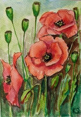 Poppies. Painting. 2023. Watercolor on Paper. Postcard. Size: 4,2 W x 5,8 H x 0,1 D