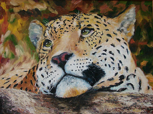 painting "Leopard" 2013. Canvas/oil, 17.5"H x 23.5"W (45x60 сentimeters)