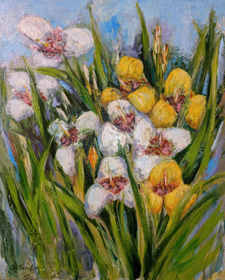  Paintings, "Floral landscape" 2013, 15.7 W x 19.7 H x 0.7 D ( painting, flowers, irises, abstract, abstract painting, Van Gogh, landscape, realism, Optimistic Painting, tigridia flower, still life, nature)