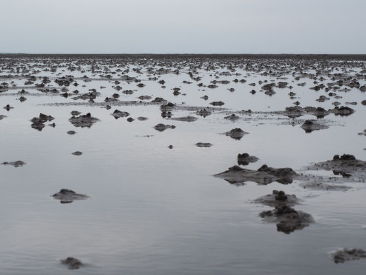 Wattenmeer (Wurmhügel)