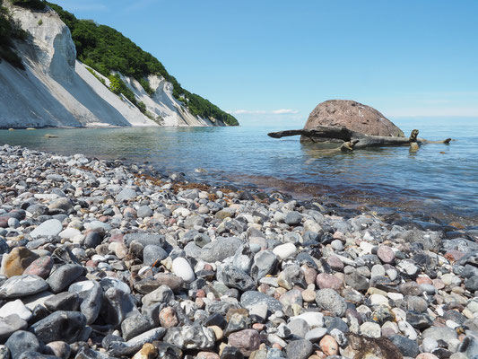 Kreide-Küste in Dänemark