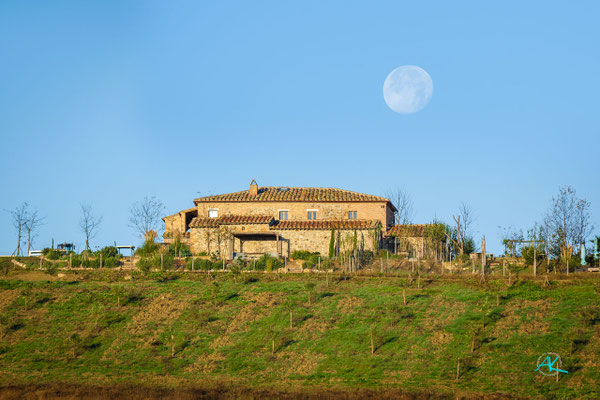 Nachmittagsmond überm Podere Cancelli, November 2023