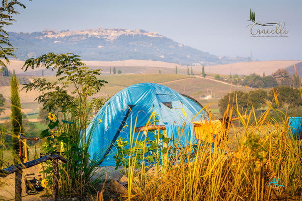 Zeltplatz mit Aussicht auf Montalcino